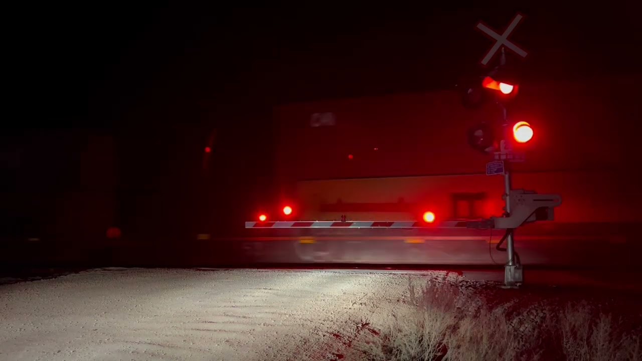 CN Intermodal Train Rolling East Towards Winnipeg Near Headingley, MB. (Oct 3. 2024)