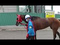 【パカパカ動画】【浦和競馬場】【Horse footsteps】