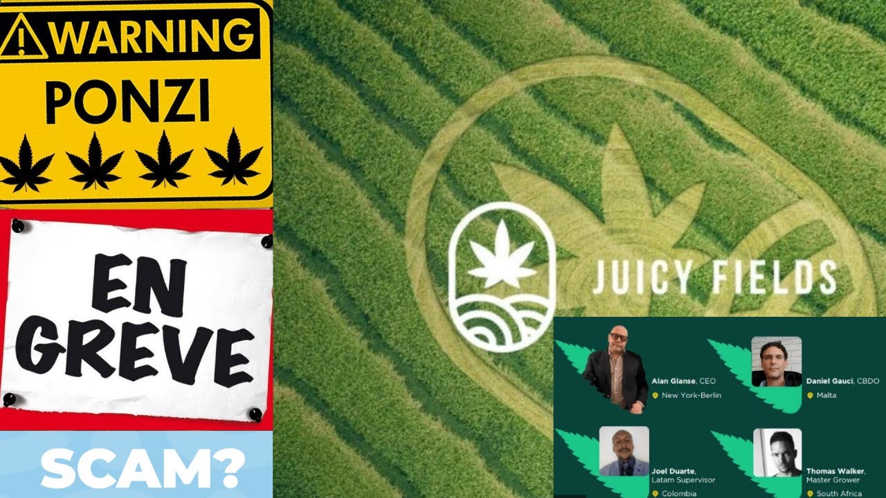 Juicy Fields un peu plus d'informations (SCAM, GRÈVE!!!) - YouTube