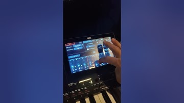 KORG PA 5 x recording track problems