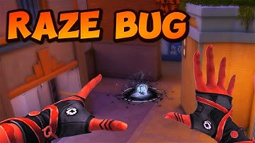 "NEW" RAZE BUG ON SUNSET