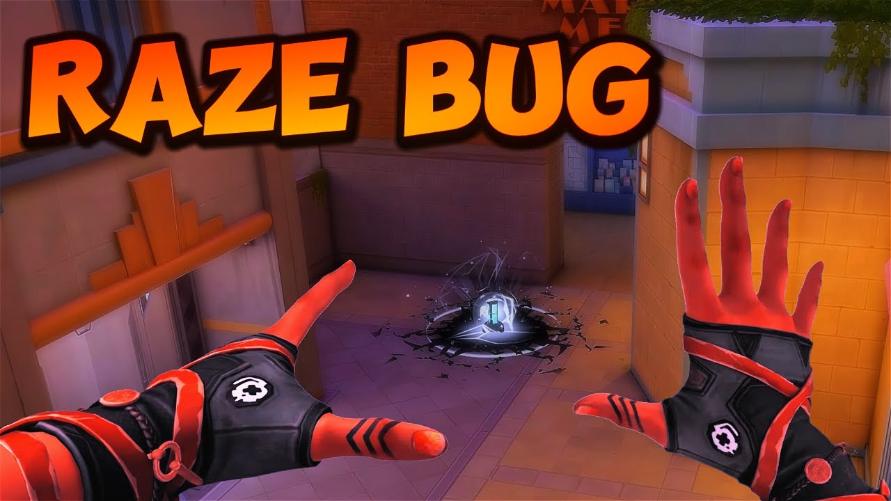 "NEW" RAZE BUG ON SUNSET