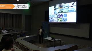 Seminario “Global Cloud Condensation Nuclei (CCN) simulations”