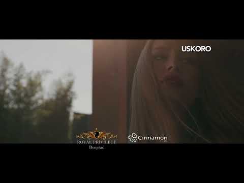 Nedeljko Bajić - Baja | Kljuc Teaser 1 (2017)