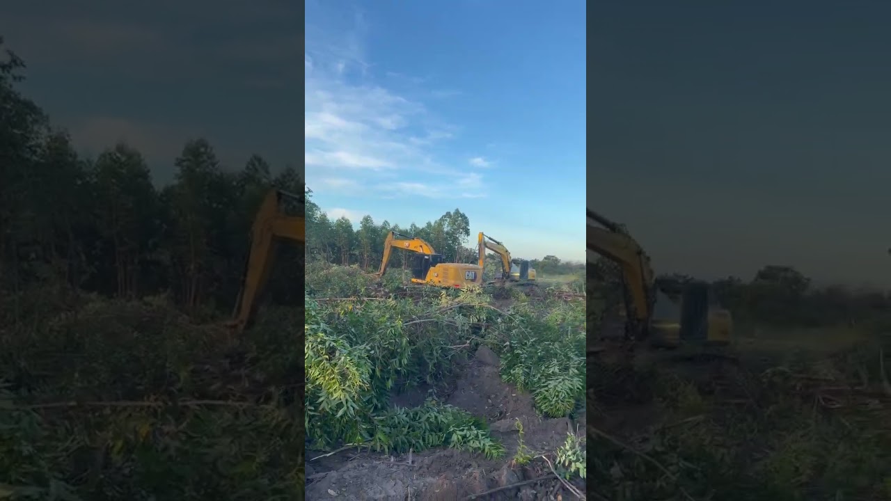 #filmora #filmoramobile -2026-03-01 16:02:06