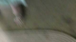 Kitty stretched out video