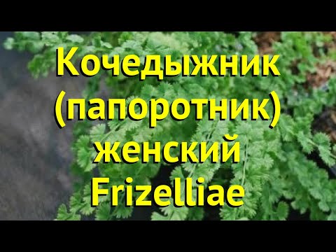 Video: Pisani Kochedyzhnik