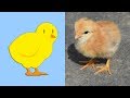 Farm Animals Sounds for Children | Learn Farm Animal Sounds