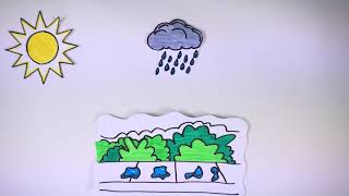 2018-2019 Biomimetisme: Quand la nature inspire l'homme