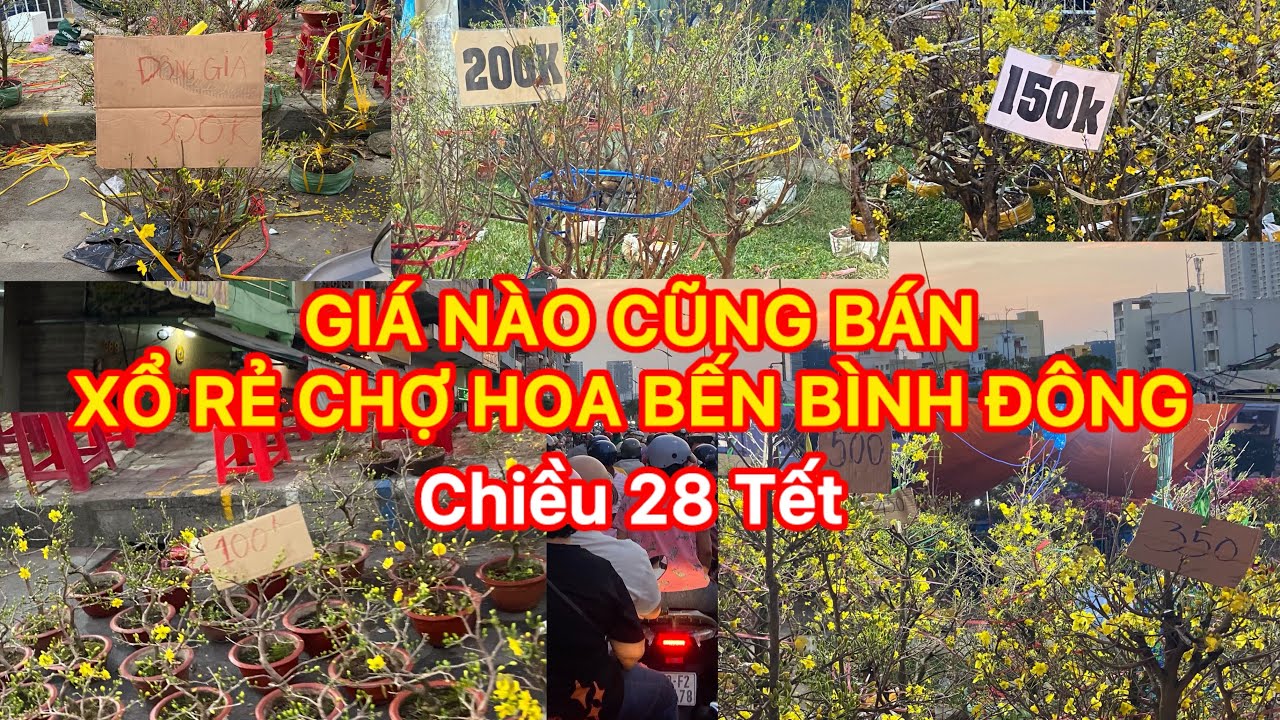 Đêm 28 Tết xổ giá nào cũng bán về quê chợ hoa Bến Bình Đông #tet 