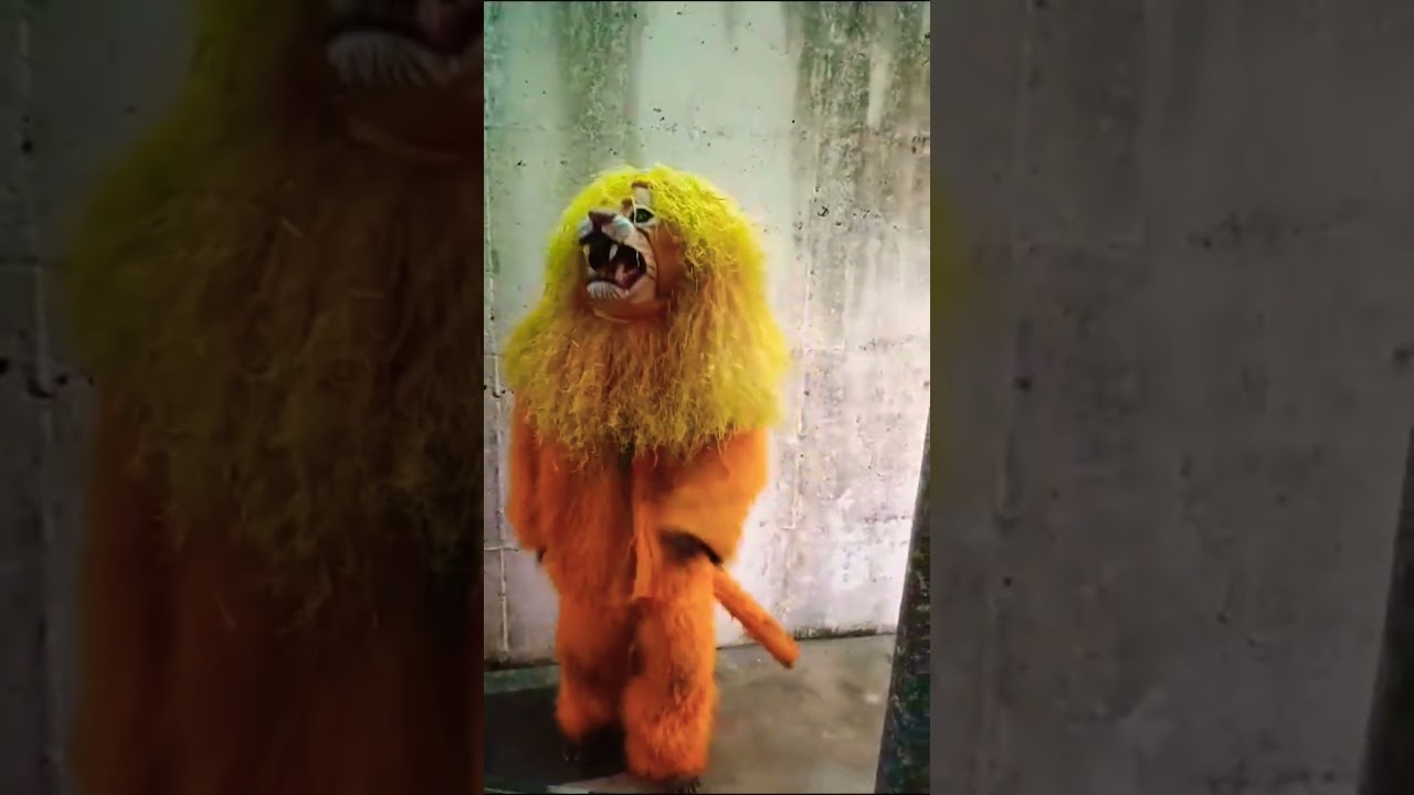 Dasara Huli vesha (tiger) / dasara special. 