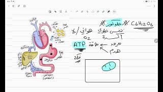 أحياء تانية ثانوي - التنفس الخلوي (١) - المقدمة