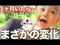 「え？いつの間に？…」生後11ヶ月の赤ちゃんがドイツ両親と1ヶ月過ごしたらこうなりました!!...