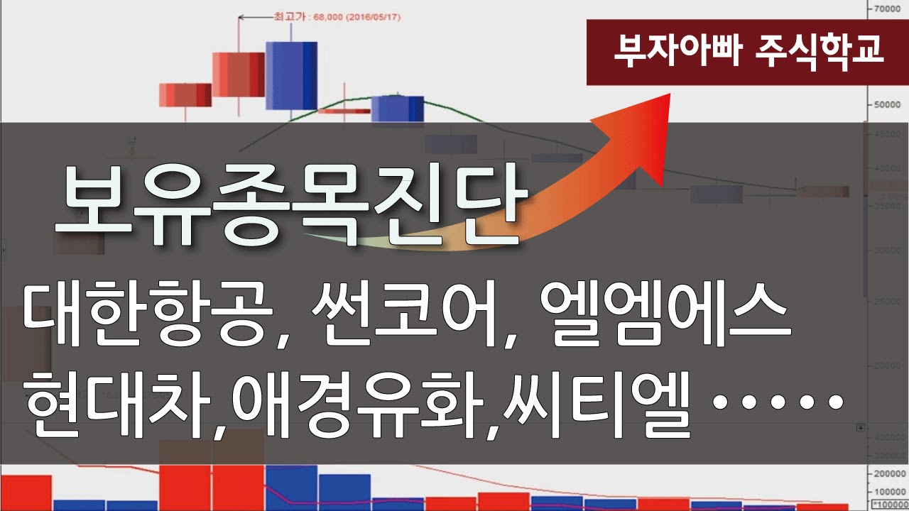 [주식투자 종목진단] 대한항공, 썬코어 등(16-06-17)