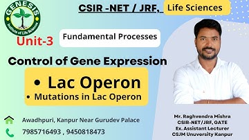 Mutations in Lac Operon | Control of Gene Expression In Prokaryotes | Lecture-41