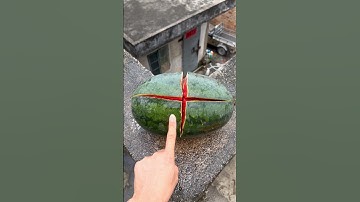 Experiment: Will watermelons and cantaloupes explode if rolled down a tall building? 🍉💥#shorts