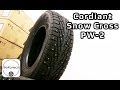 Cordiant Snow Cross PW-2