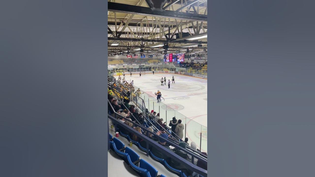 Fort McMurray Oil Barons live Goal Horn