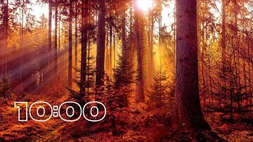 Classical Music Timer 10 Minutes | Countdown Timer 10 Minutes Classical Music | Classical Music