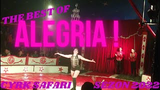 The best of Cyrk Safari "Alegria!"