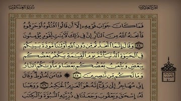 اليوم ( 34 ) القارئ أبو بكر الشاطري سورة العنكبوت و سورة الروم