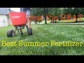 How to get your yard ready for summer | summer lawn tips