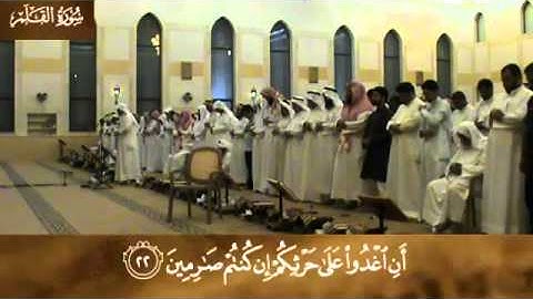 سورة القلم | الشيخ محمد بن زايد