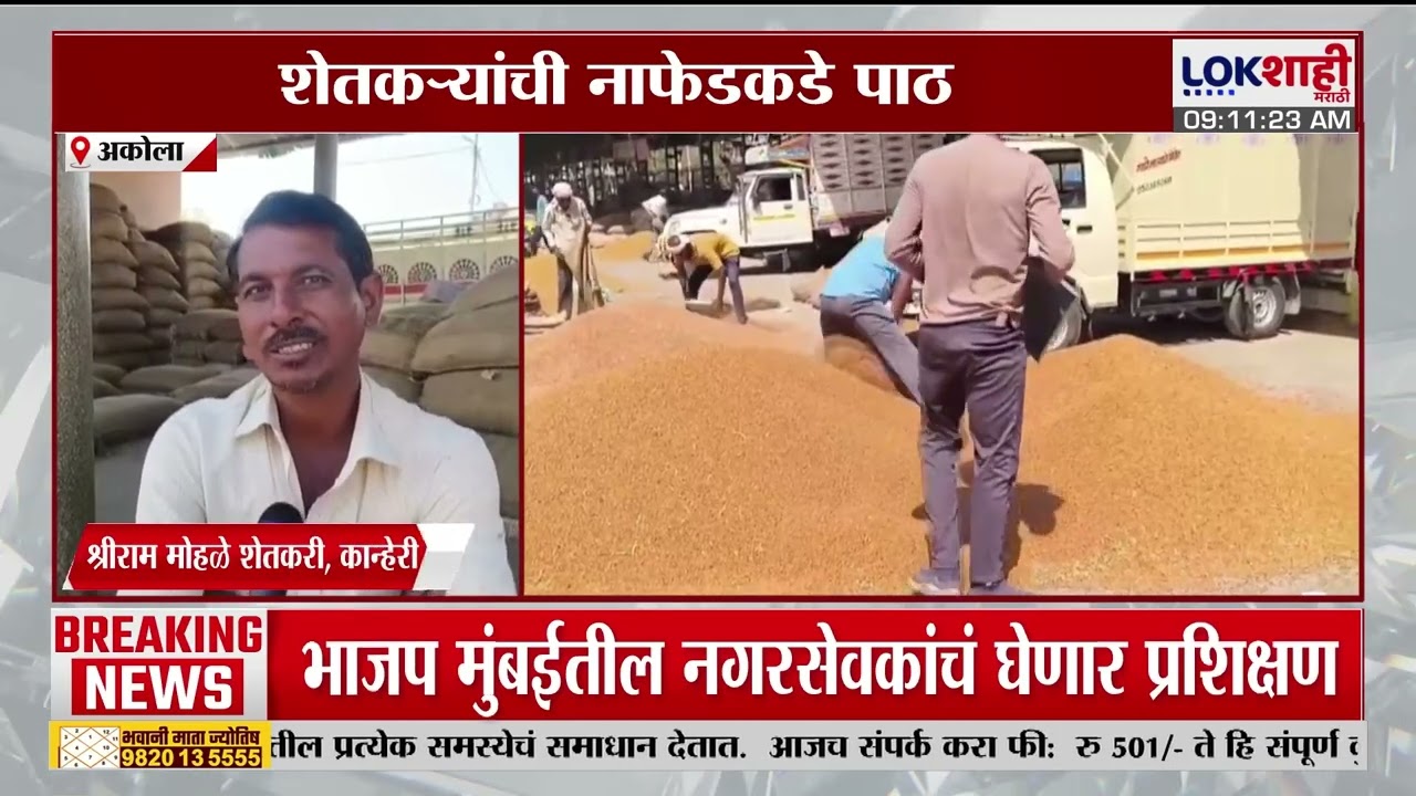 Akola | हमीभावापेक्षा कमी भावाने हरभरा विक्री, शेतकऱ्यांची नाफेकडे पाठ | Lokshahi Marathi
