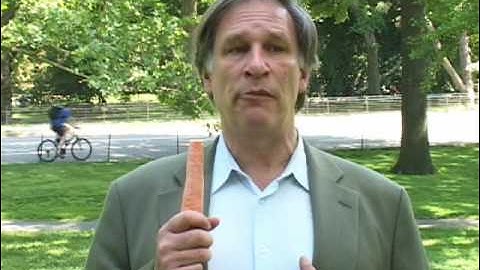 Episode 4: Global Warming, It