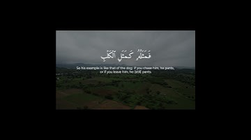 سورة الأعراف( ١٧٥ ــ ١٧٨ ) #القران_الكريم #quran #ماهرالمعيقلي #لا_اله_الا_الله