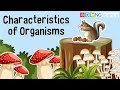 Life Beyond Us: Exploring Organisms and Their Needs