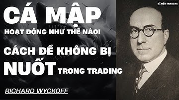 CÁ MẬP TRONG TRADING ĐANG ĐIỀU KHIỂN BẠN NHƯ THẾ NÀO VÀ CÁCH ĐỂ KHÔNG BỊ CÁ MẬP NUỐT|Richard Wyckoff