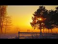 夕暮れ時 （さとうささら）