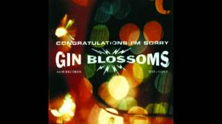 Video thumbnail of "Gin Blossoms - Perfectly Still"