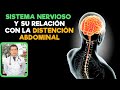 Sistema Nervioso y su Relación con la Distención Abdominal (Dr Javier E Moreno)