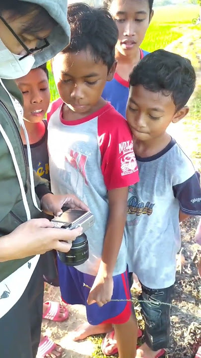 cerita anak desa