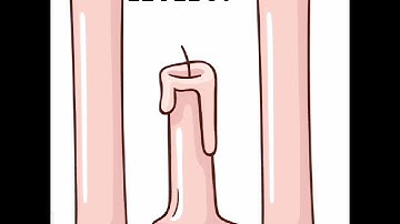 Tricky Line : Draw The Part Level 31 - 40