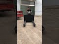 ELEP 30D Paper roll truck