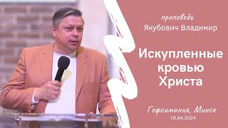 Якубович Владимир | Искупленные кровью Христа | 18.04.2024