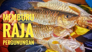 Memancing kelah & tengas. Seram... sesat 6 jam cari jalan pulang. vlog #13