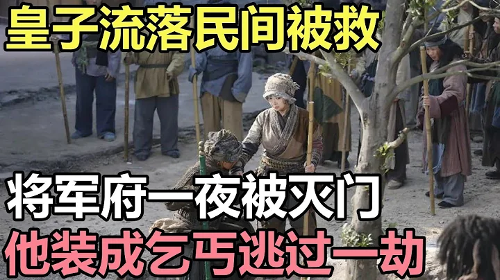 民间故事合集：皇子流落民间被救，将军府一夜被灭门，他装成乞丐逃过一劫 - 天天要闻