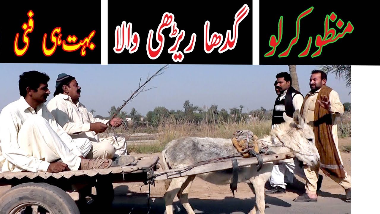 Manzor kirlo Gadha Rahri Wala Very funy By You TV