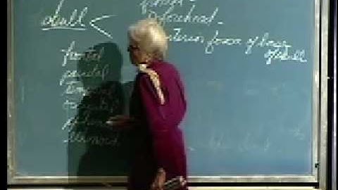 Integrative Biology 131 - Lecture 03:  Skeletal System