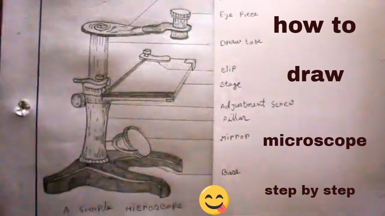 Light Microscope- Definition, Principle, Types, Parts, Labeled Diagram,  Magnification