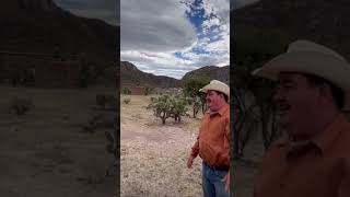 Huiscolco #zacatecas