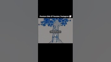 The Science of Tree Hugging 🌳 It’s more than a trend it’s healing. Nature calms your nervous system.