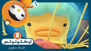 أوكتونوتس | 🦁 قنديل لِبْدة الأسد 🪼 | السلسلة 3 | الحلقة 14