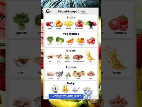 Food Groups Chart Learn How to Balance Your Plate