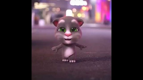 Thumbnail of Nhạy theo điệu nhảy của các chú mèo nào các bạn ơi