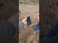 Поиск потерянных вещей Avito